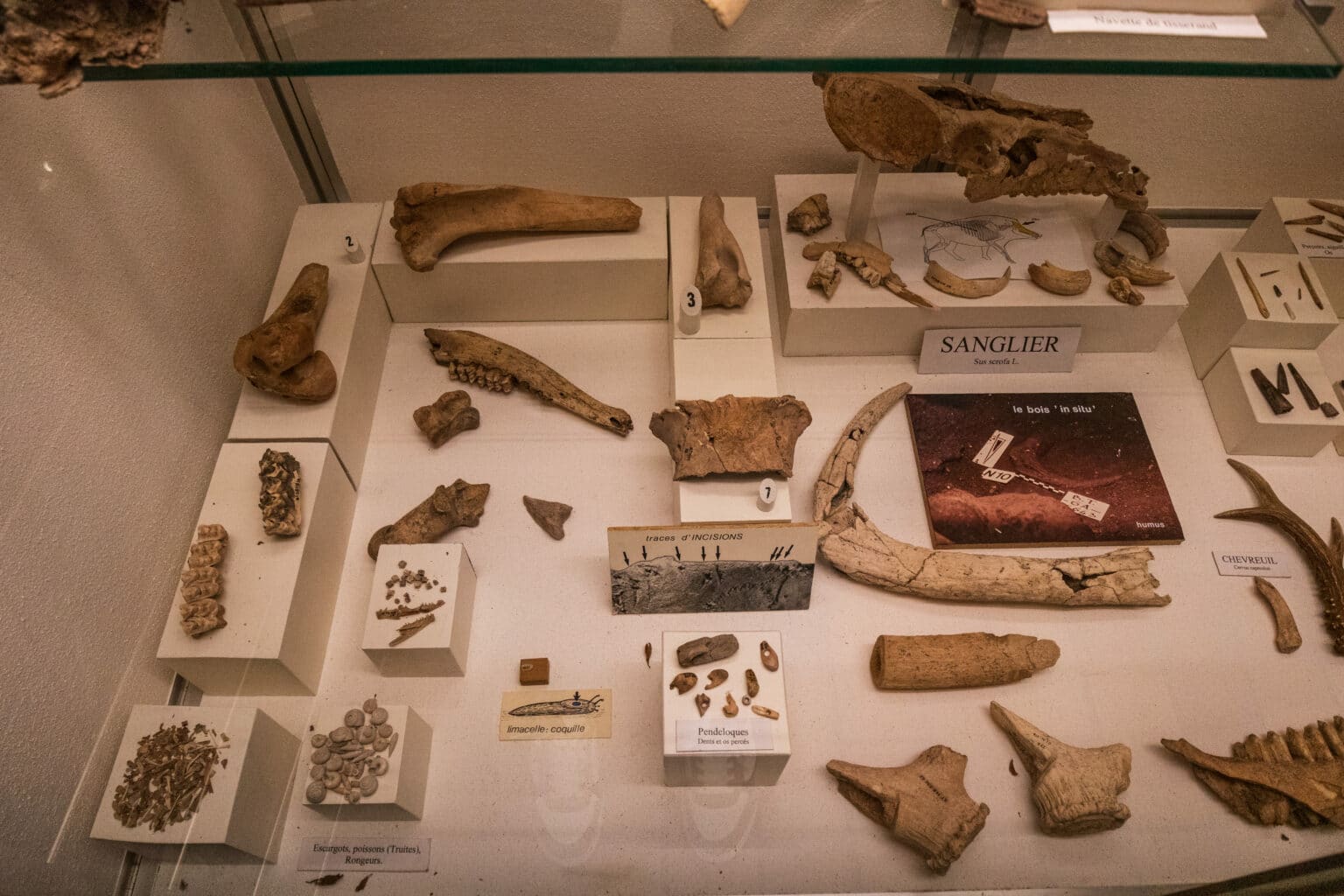 2024-Musee deambulations enfants ©Office de Tourisme Thônes Coeur des Vallées
